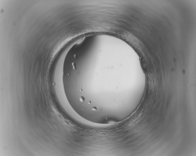 X0000058120676200510212021