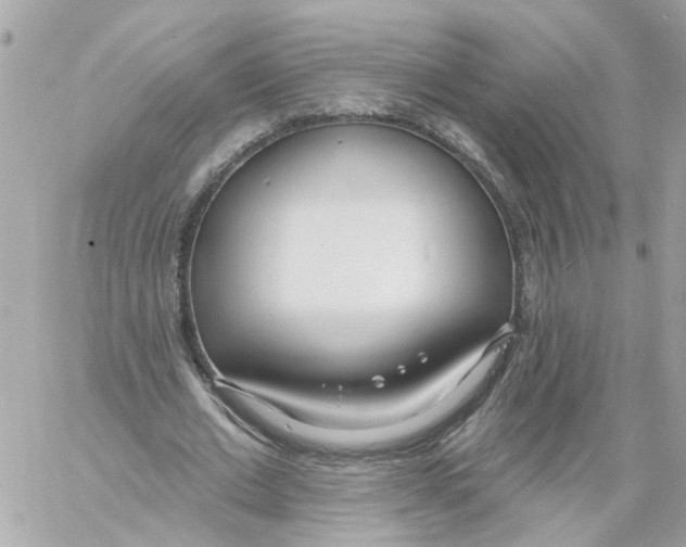 X0000058120677200510212021