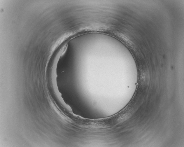 X0000058120678200510212021