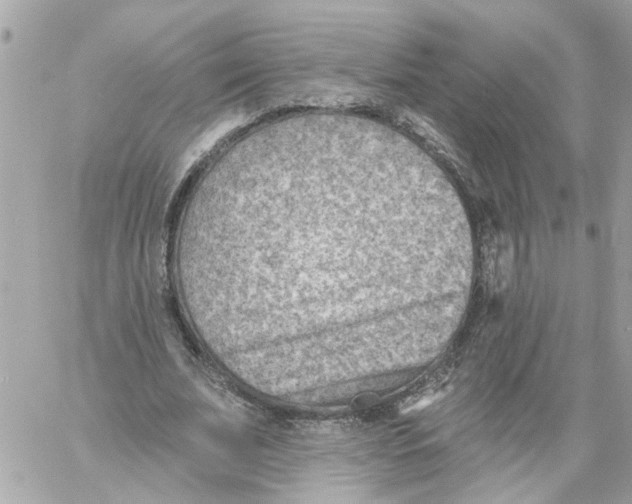 X0000058120679200510212021