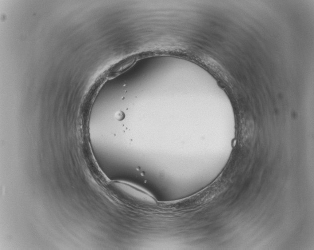 X0000058120680200510212021