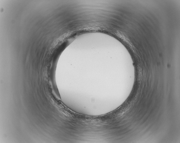 X0000058120681200510212021