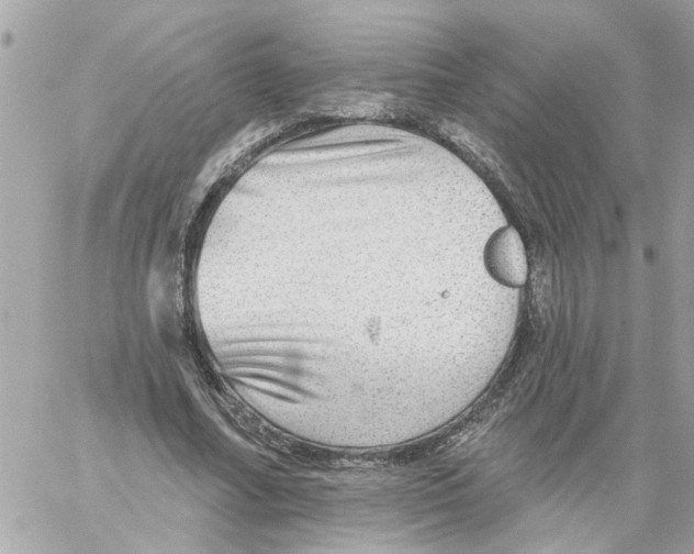 X0000058120682200510212021