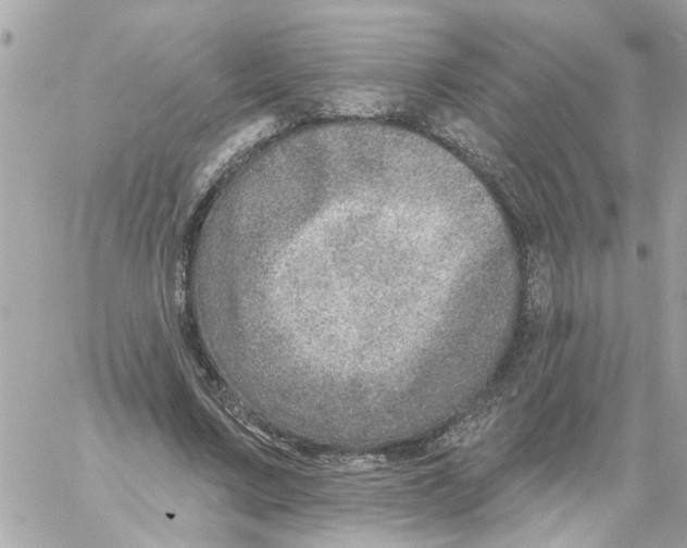 X0000058120683200510212021