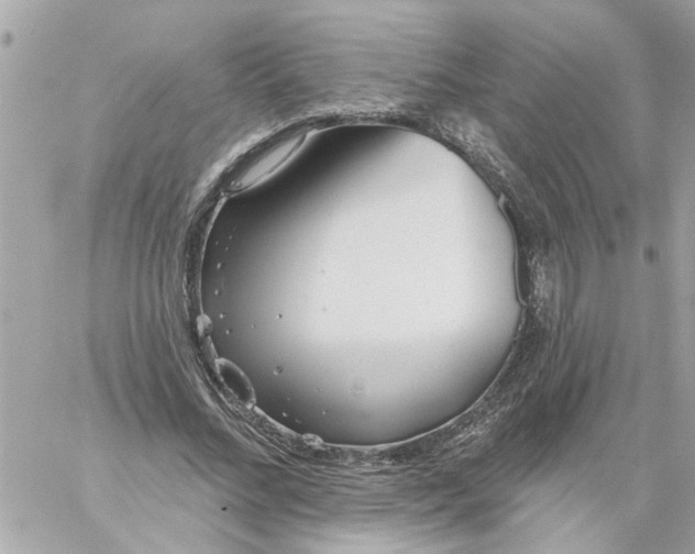 X0000058120684200510212021