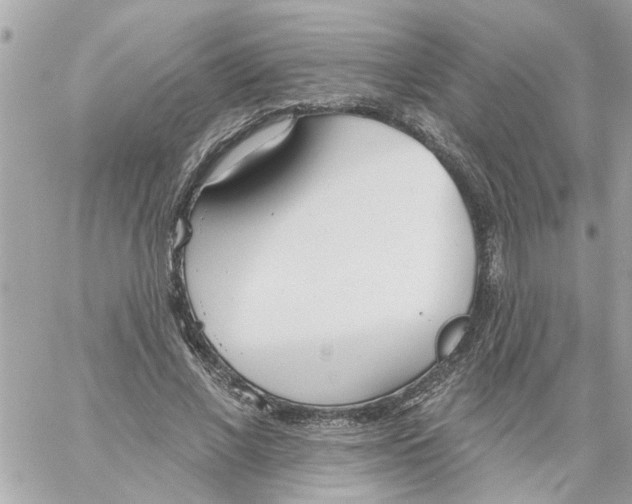 X0000058120685200510212021