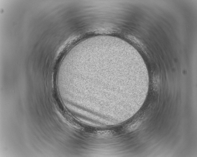 X0000058120686200510212021