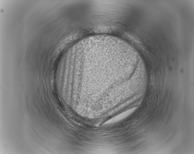 X0000058120687200510212021