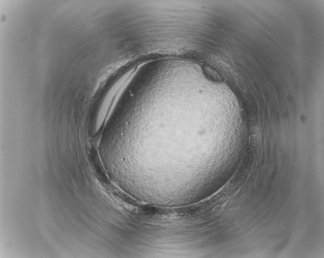 X0000058120688200510212021