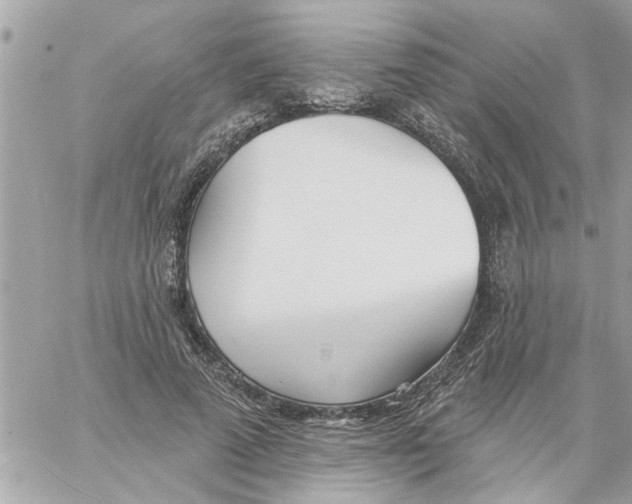 X0000058120689200510212021