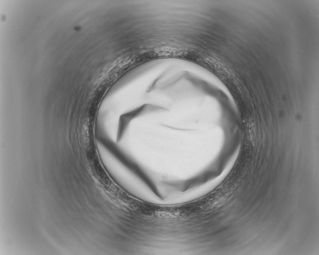 X0000058120690200510212021