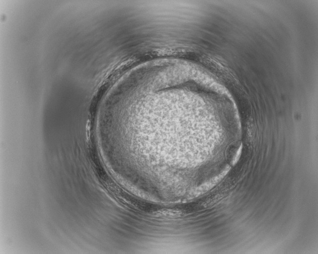 X0000058120691200510212021