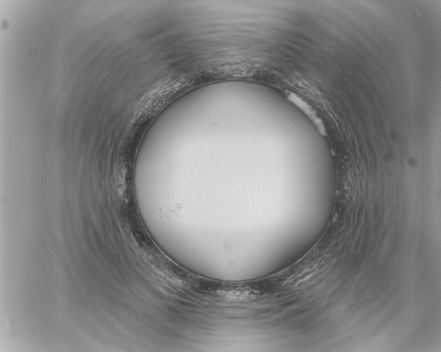 X0000058120693200510212021