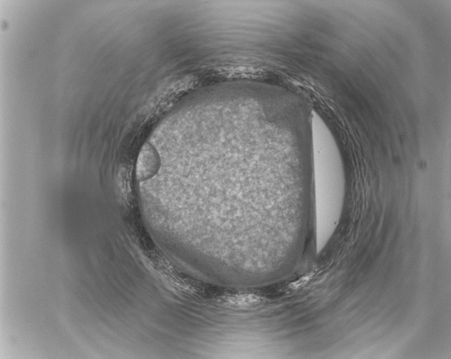 X0000058120695200510212021