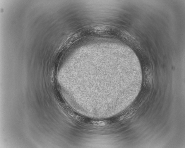 X0000058120698200510212021