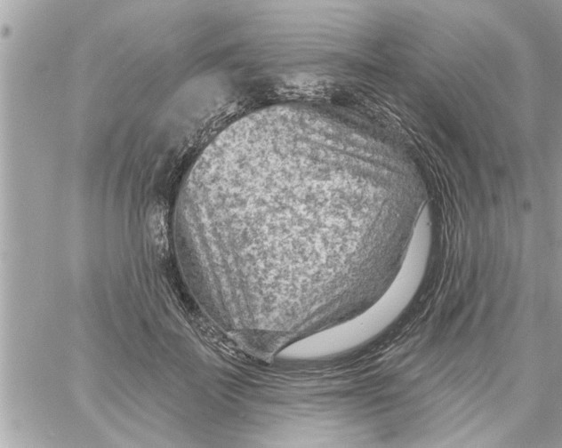 X0000058120699200510212021