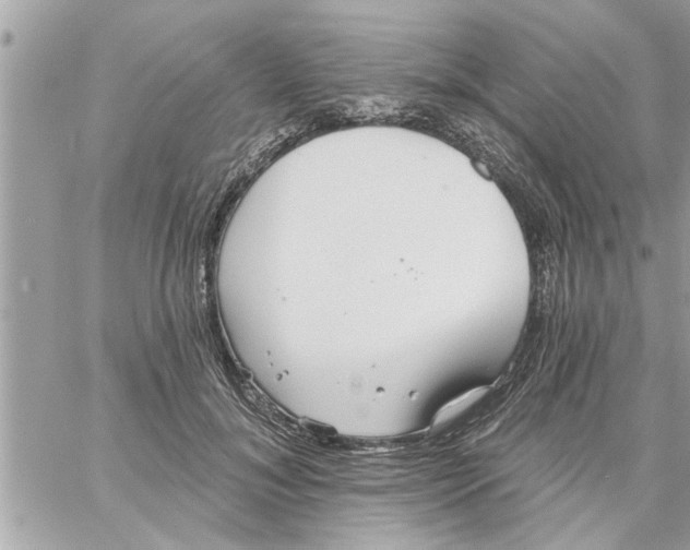 X0000058120700200510212021