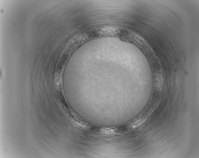 X0000058120701200510212021