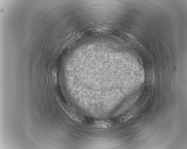 X0000058120703200510212020