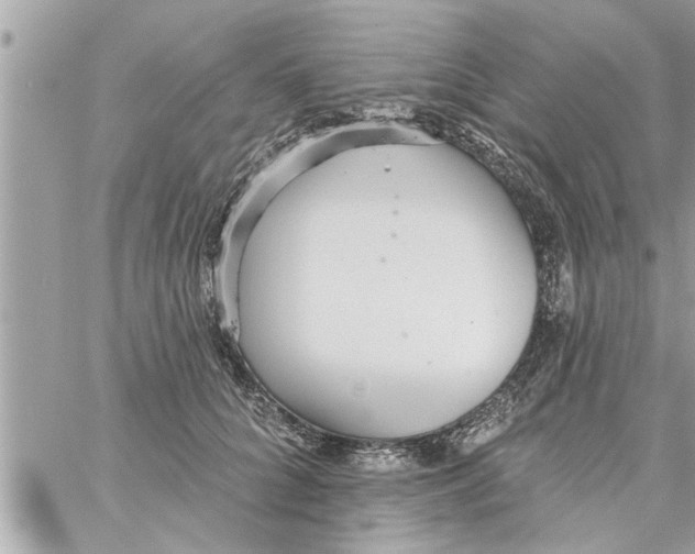 X0000058120704200510212020