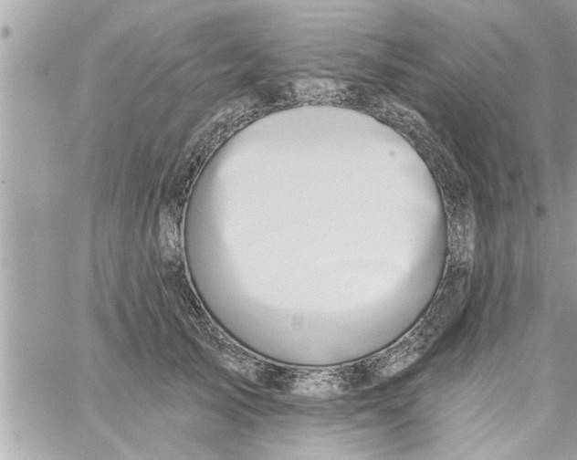 X0000058120705200510212020