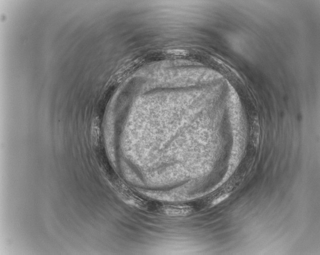 X0000058120707200510212020