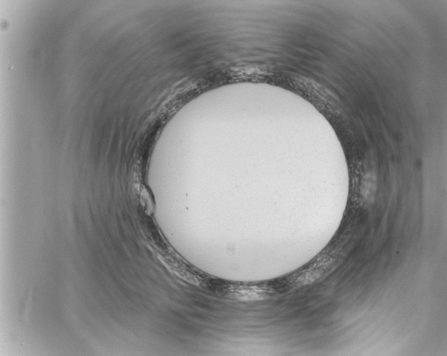 X0000058120710200510212020