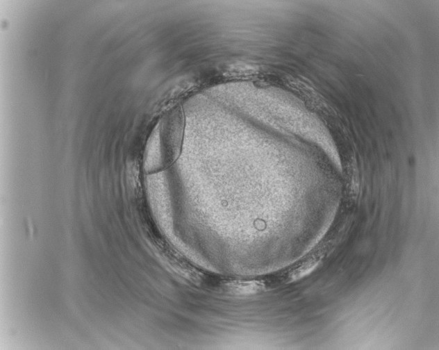 X0000058120711200510212020