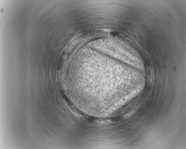 X0000058120712200510212020