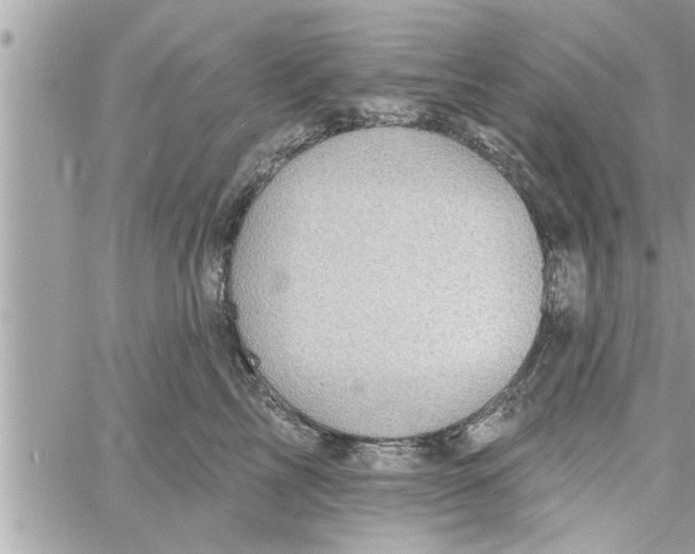 X0000058120713200510212020