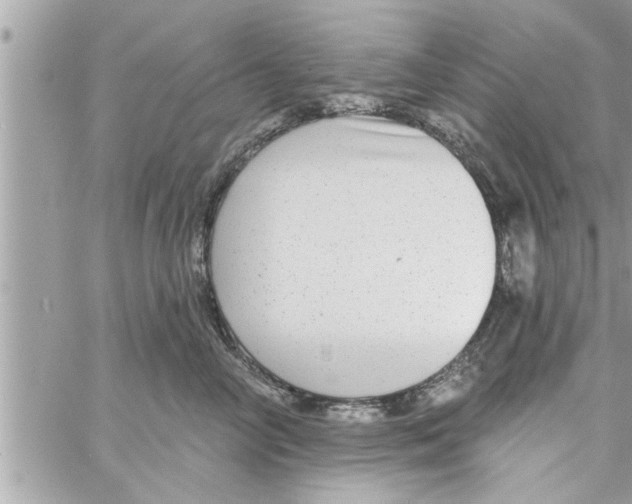 X0000058120714200510212020