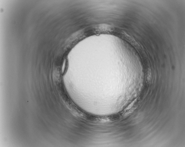 X0000058120715200510212020