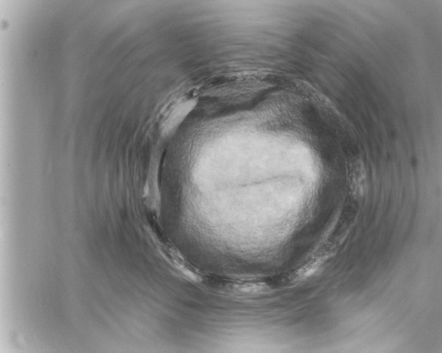 X0000058120716200510212020