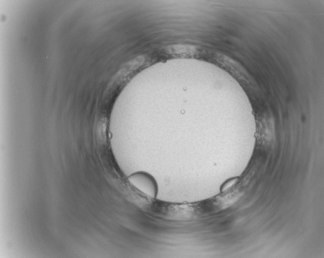 X0000058120717200510212020