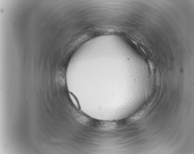 X0000058120719200510212020