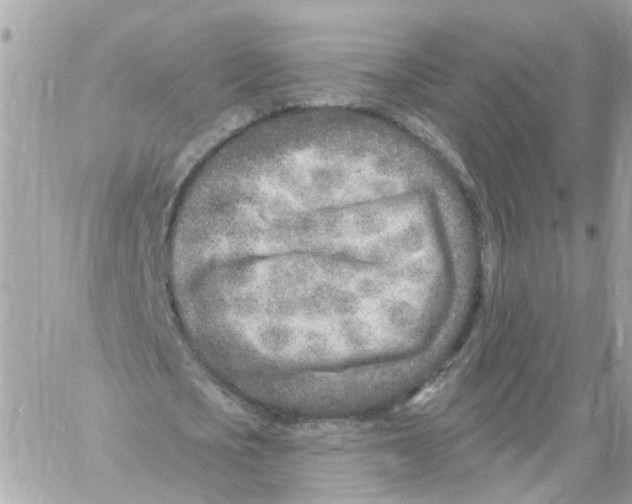 X0000058120721200510212019