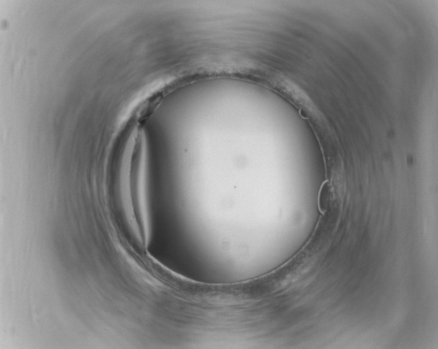 X0000058120722200510212019