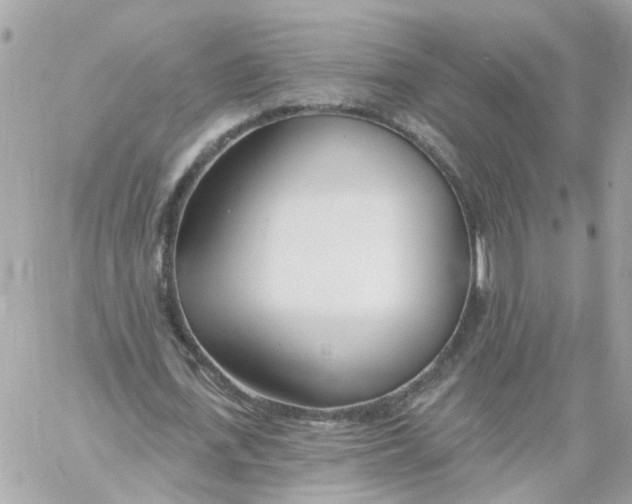 X0000058120723200510212019