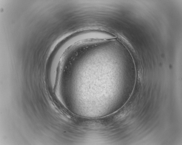 X0000058120724200510212019