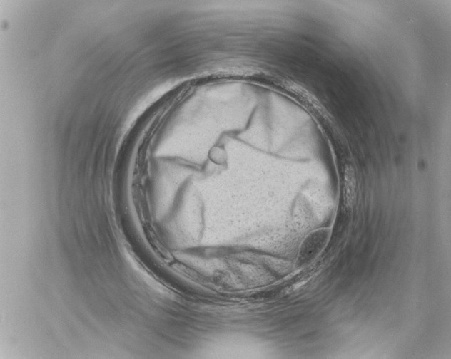 X0000058120726200510212019