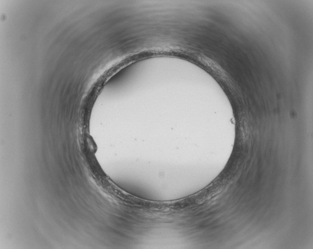 X0000058120728200510212020