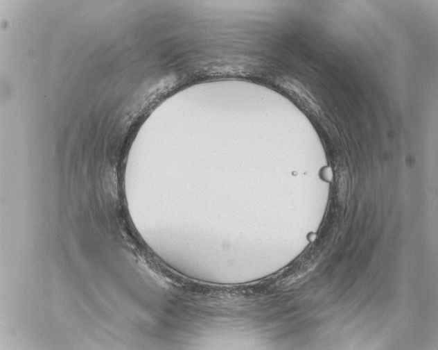 X0000058120729200510212020