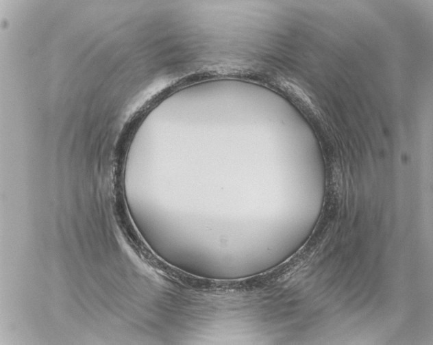 X0000058120730200510212020