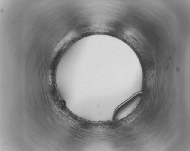 X0000058120731200510212020