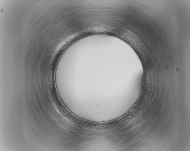 X0000058120732200510212020