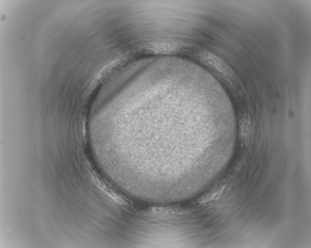 X0000058120733200510212020