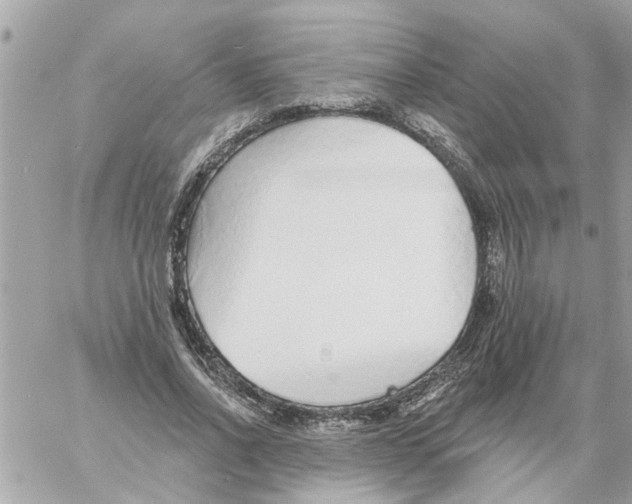 X0000058120734200510212020