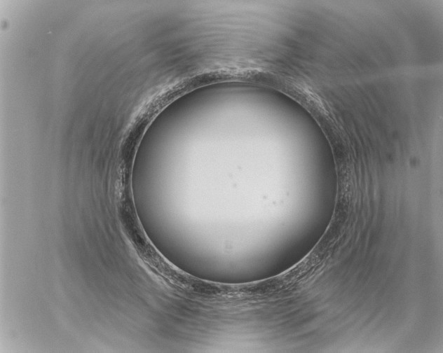 X0000058120736200510212020