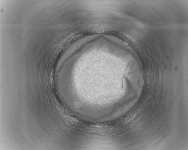 X0000058120737200510212020