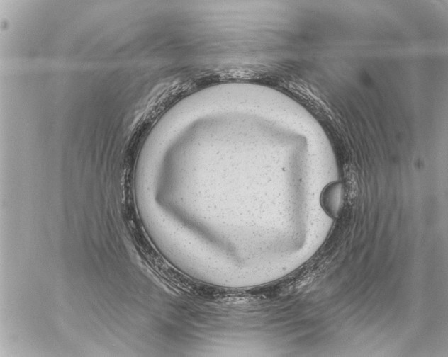 X0000058120738200510212020